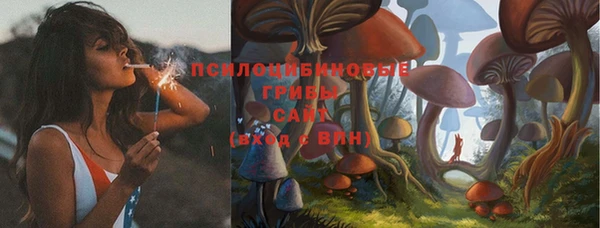 2c-b Осинники