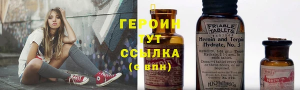 индика Медвежьегорск