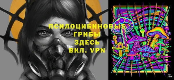 2c-b Осинники