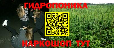 крисы Беслан