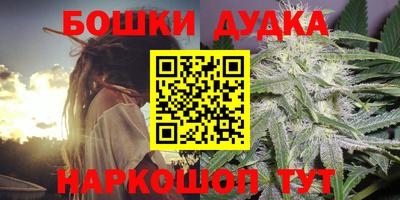 крисы Беслан