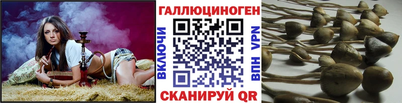 Галлюциногенные грибы GOLDEN TEACHER  Котлас 