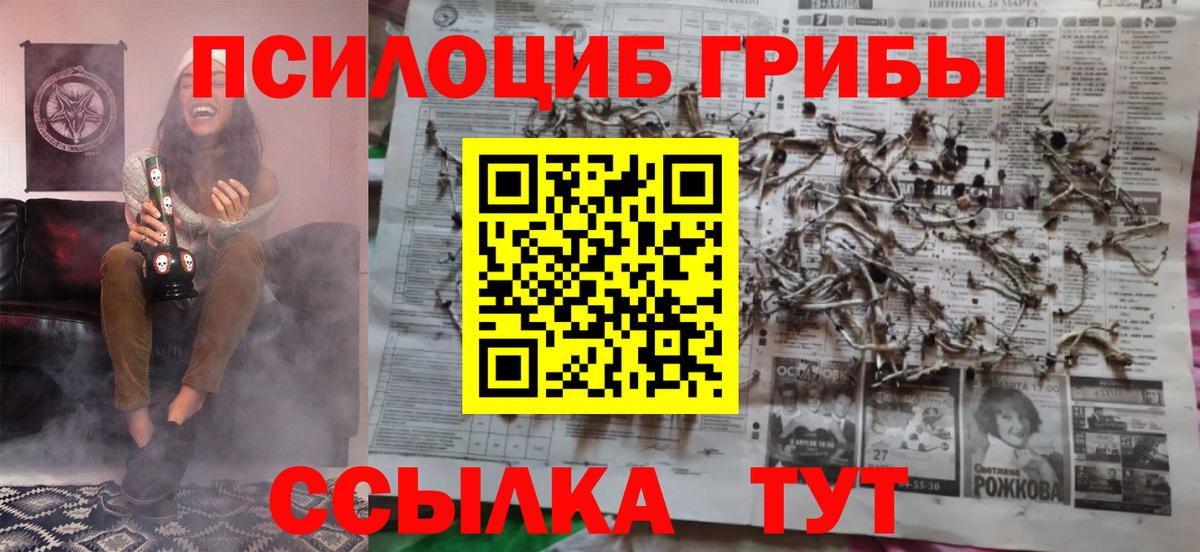 Котлас  Псилоцибиновые грибы GOLDEN TEACHER  Вход с VPN  наркотики  Псилоцибиновые грибы ЛСД 