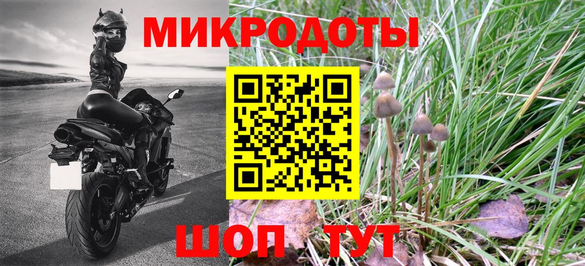 Галлюциногенные грибы MAGIC MUSHROOMS  Котлас 
